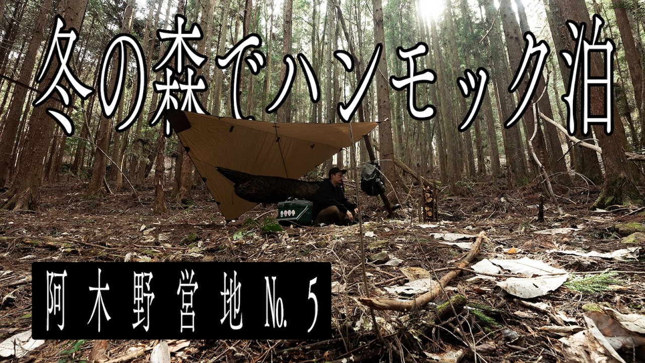 【ASMR/野営】冬のハンモック泊　焚き火と熱燗で温まる静かな夜【阿木No.5】