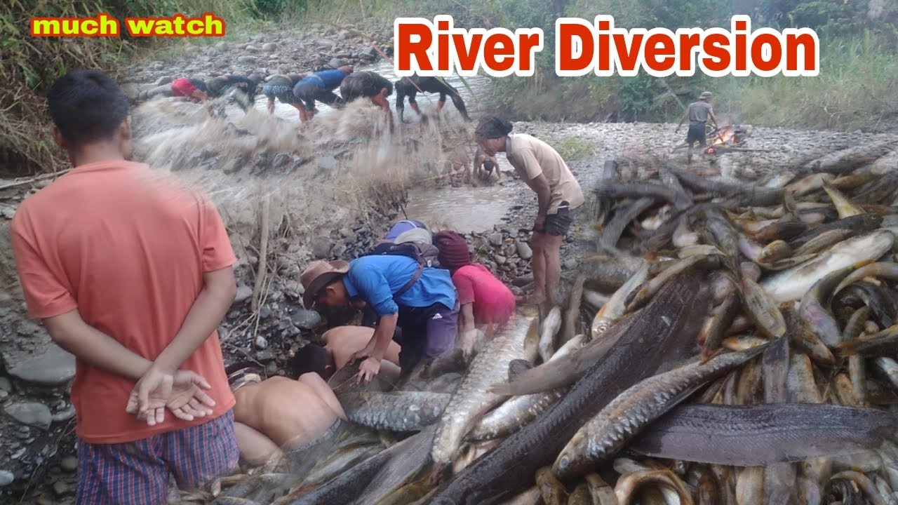 Konyak Naga Traditional system of River Diversion Fishing | WBC Youths @Realvillagelife25