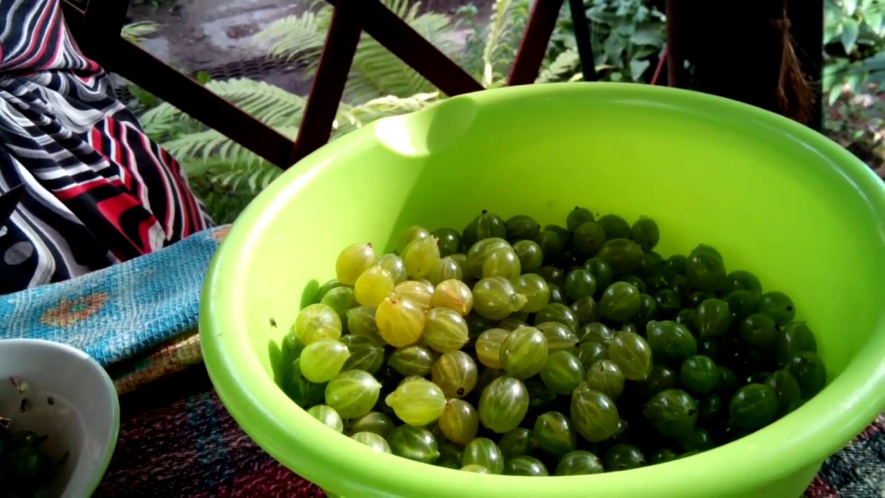 Варенье из крыжовника с лимоном.