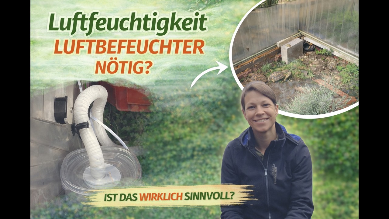 Inkbird Luftbefeuchter für Schildkröten ?!