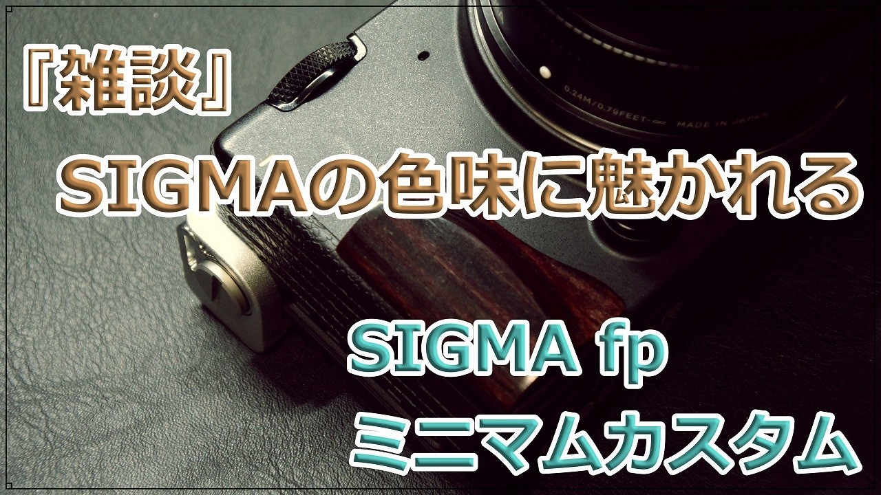カメラ雑談とfpをミニマムカスタムしてみる