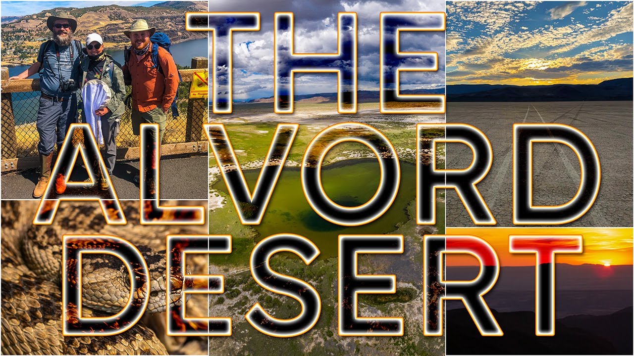 Field Herping SE Oregon: The Alvord Desert