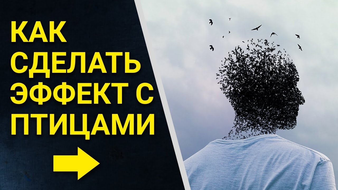 Эффект распада в Фотошопе. Фотоманипуляция Photoshop