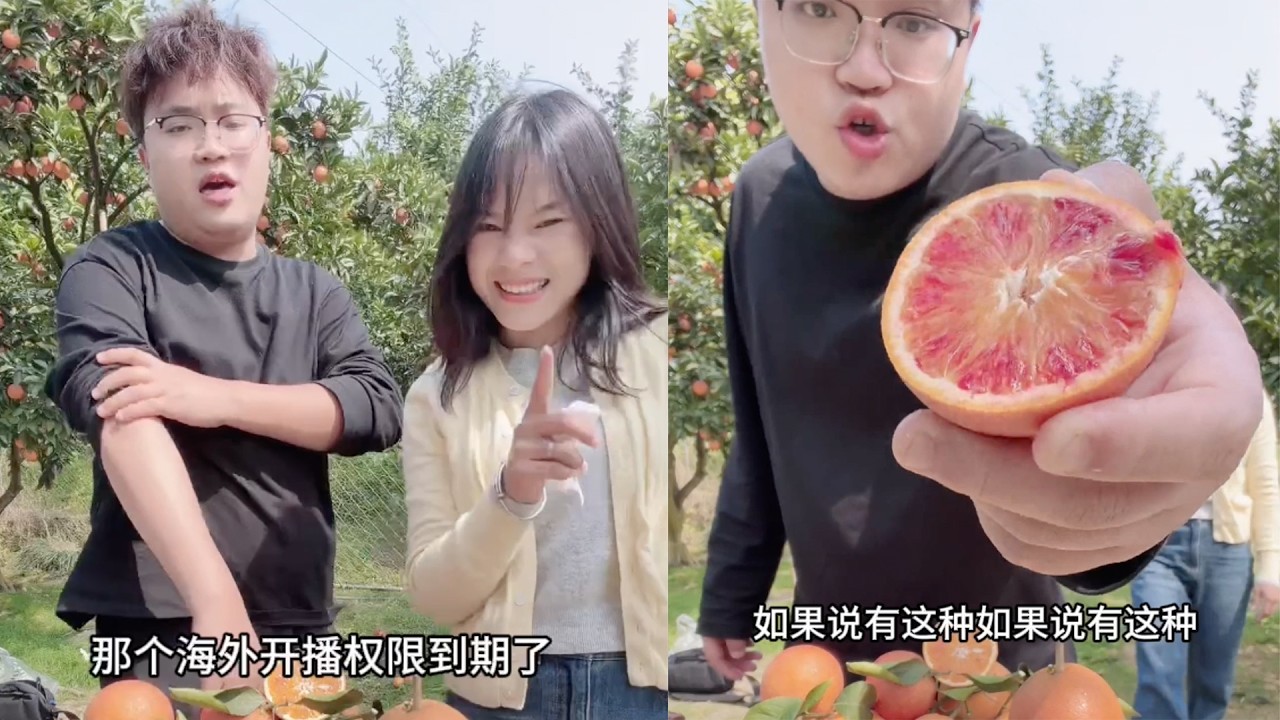 小金总男助理也跑过来帮忙 口才还是不错的 小梅赞扬