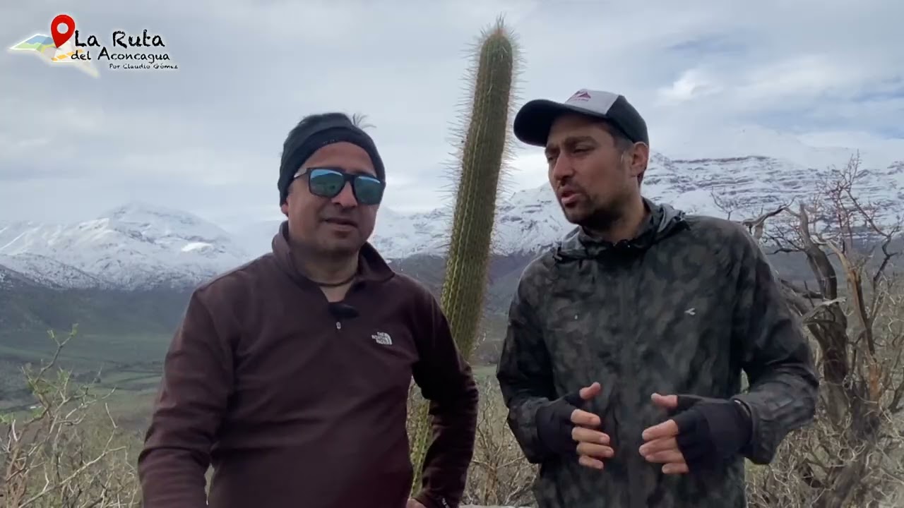 Ruta Aconcagua T1C3 Guanacos del Aconcagua, Putaendo año 2024