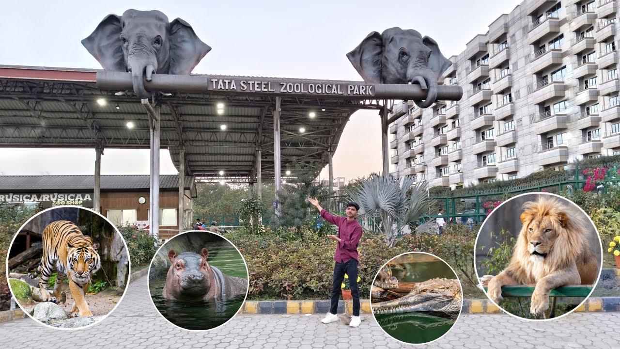 Tata Steel Zoological Park Vlog 😱
