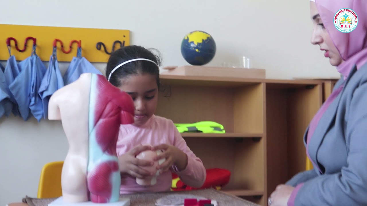 منتسوري ركن الثقافه(جسم الانسان)