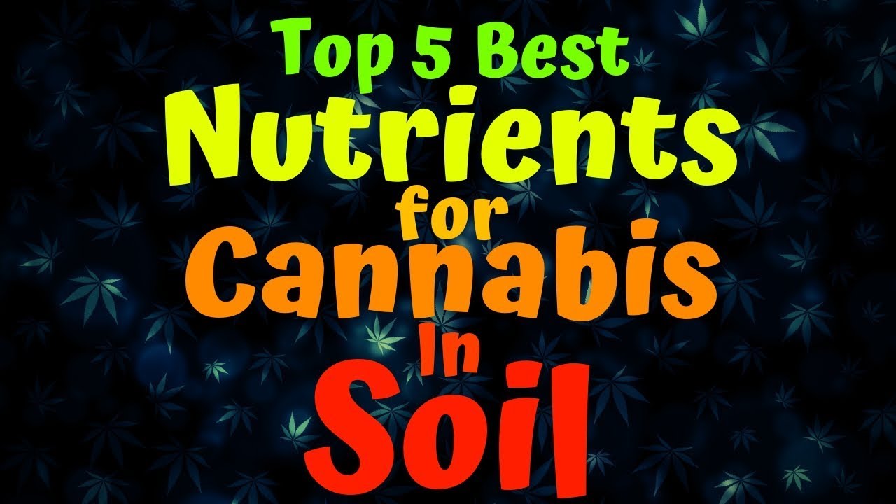Best Nutrients For Cannabis In Soil