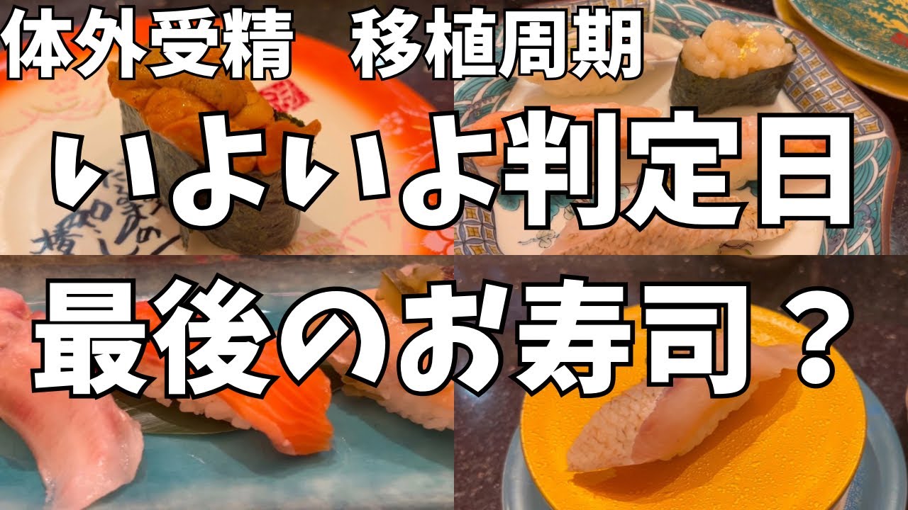 【不妊治療】ドキドキの妊娠判定日/最後と思ってお寿司を食べに行きました🍣