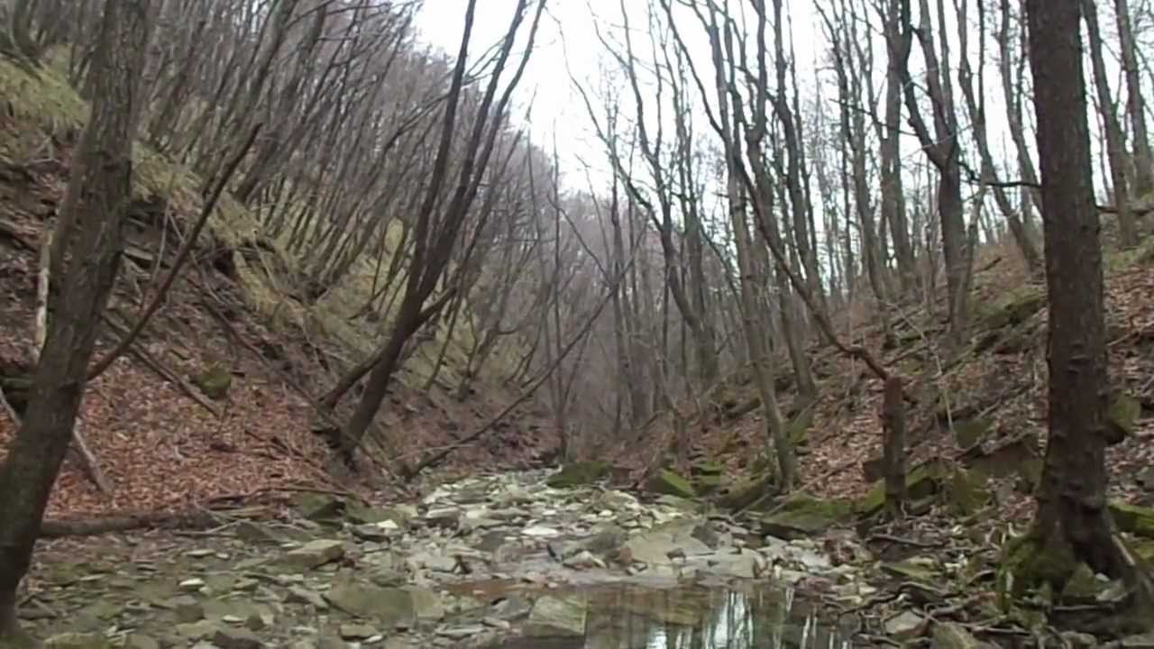 Angoli nascosti dell'alta valle del Rosandra