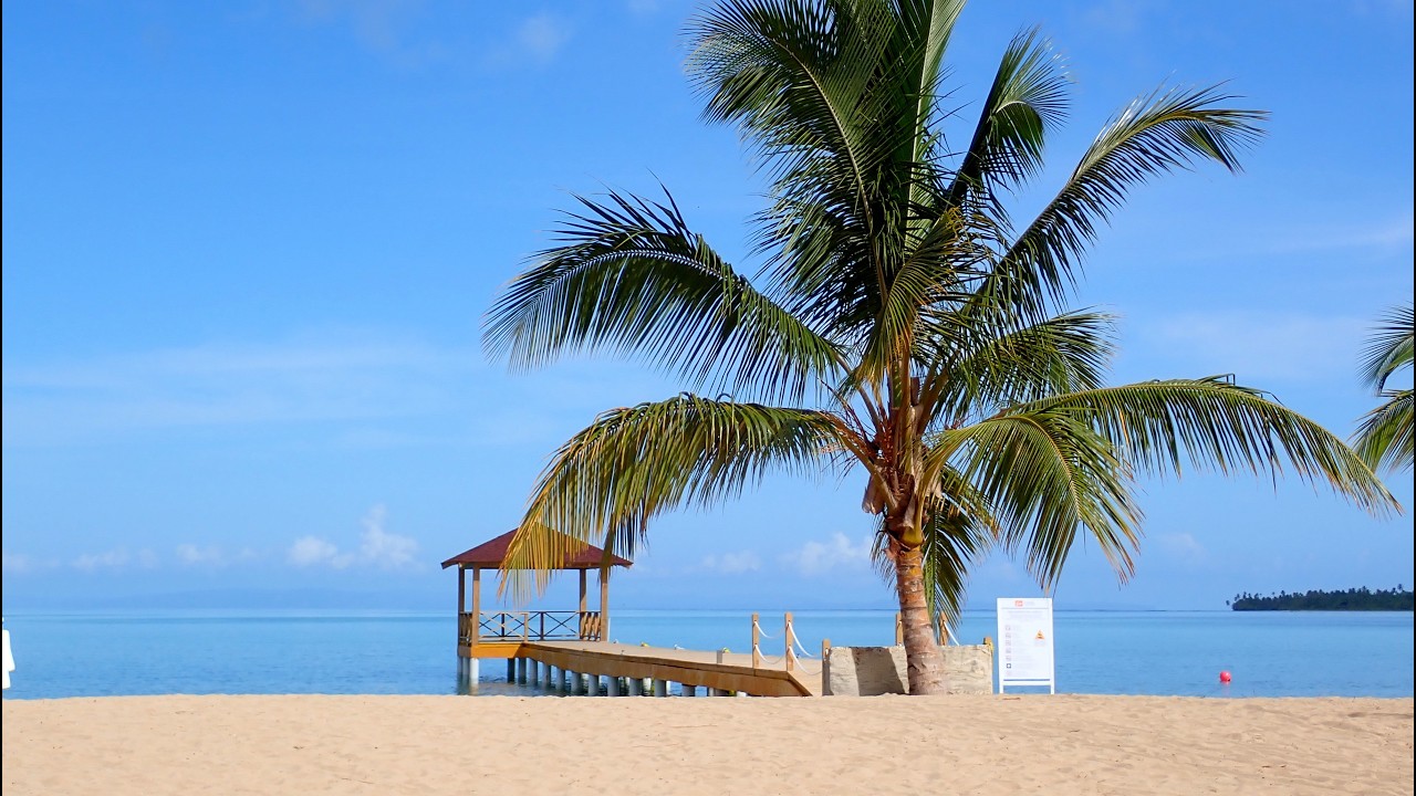 Republique Dominicaine 2025, MICHES.
