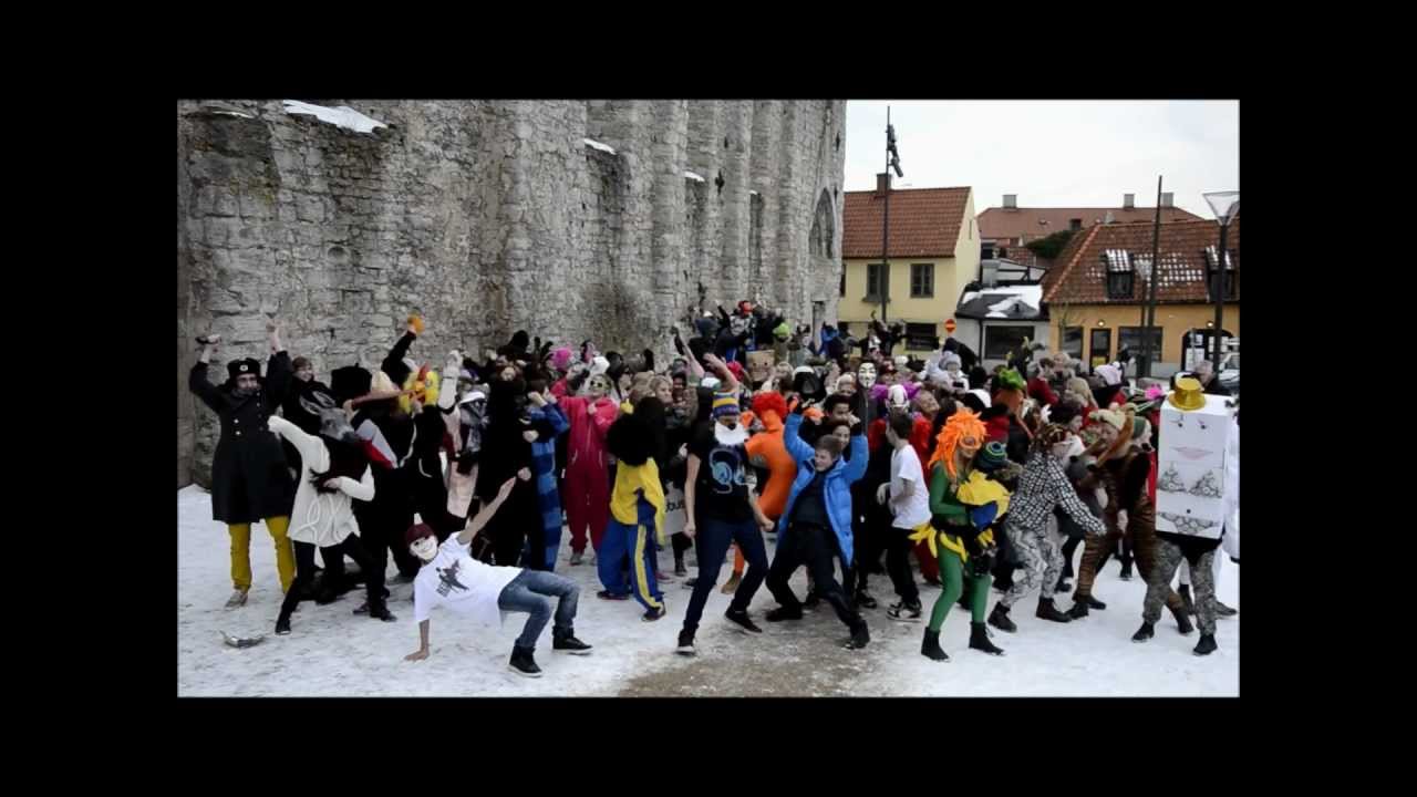 SWEDISH HARLEM SHAKE VISBY 26/2-2013