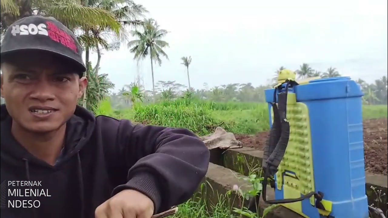 KESERUAN JALAN - JALAN KE SAWAH ‼️ Berbincang dengan petani dengan penghasilan di luar nalar