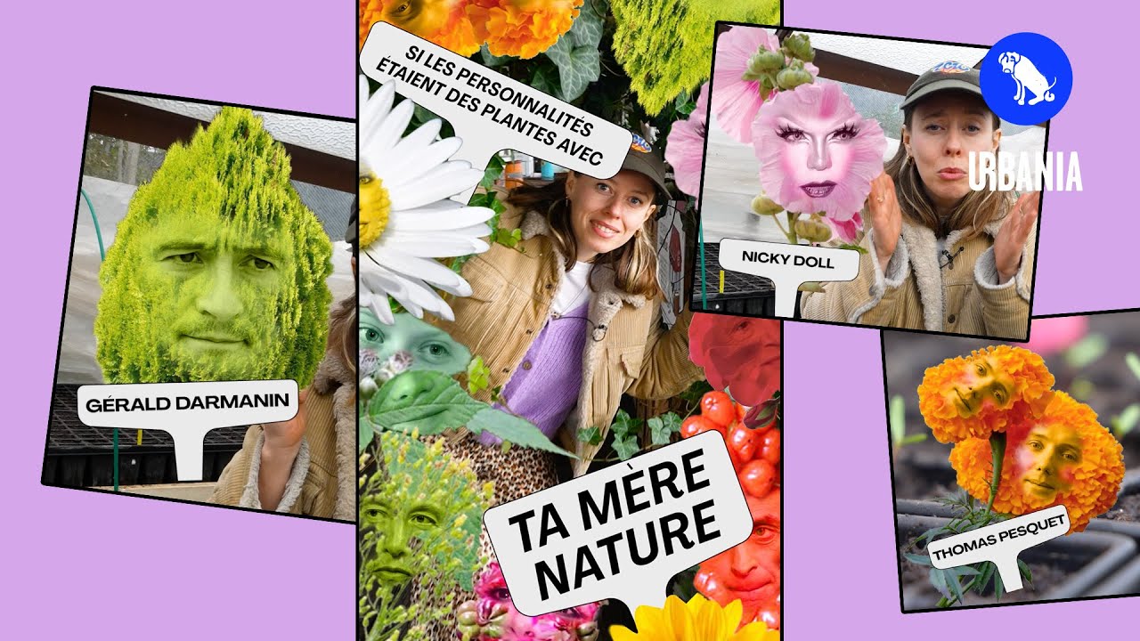 Quelle est la plante totem de Zemmour, Afida Turner ou Sardou ? feat.Ta Mère Nature