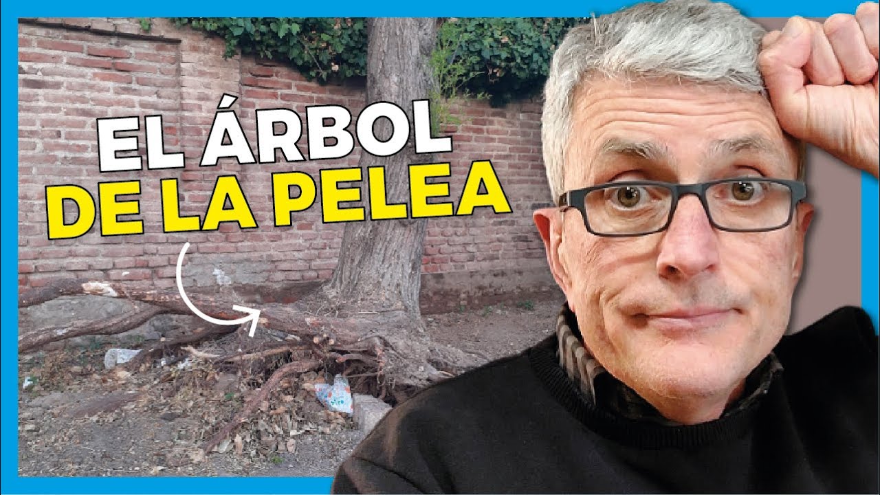 ✅ A Qué Distancia de la MEDIANERA se puede plantar un ÁRBOL? [ Experto en Medianería ]