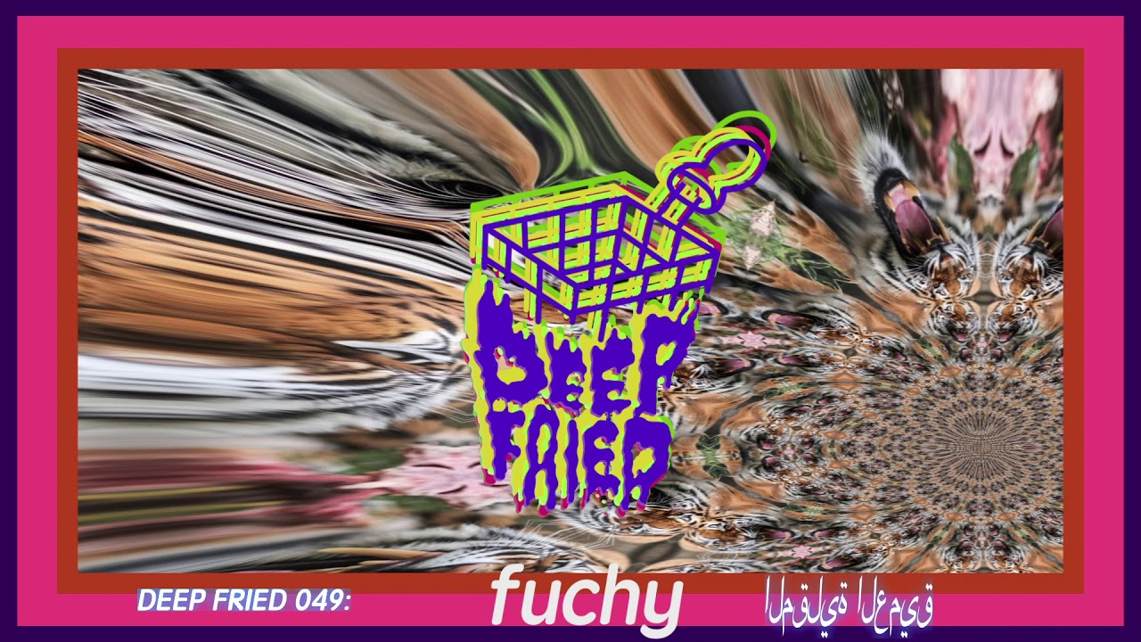 DEEP FRIED 049:  FUCHY ( FUCHYTYPEBEAT )