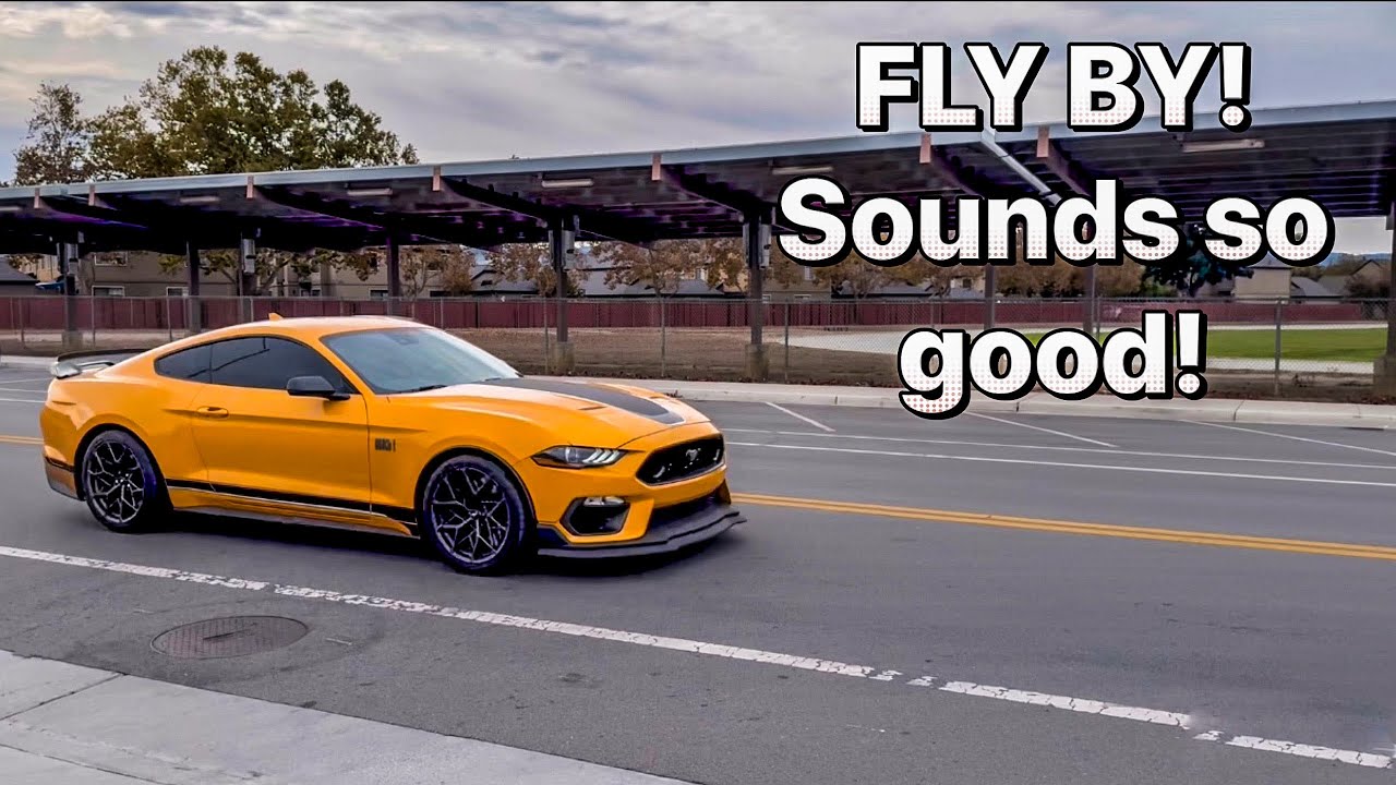 Mach 1 with X pipe resonator delete!