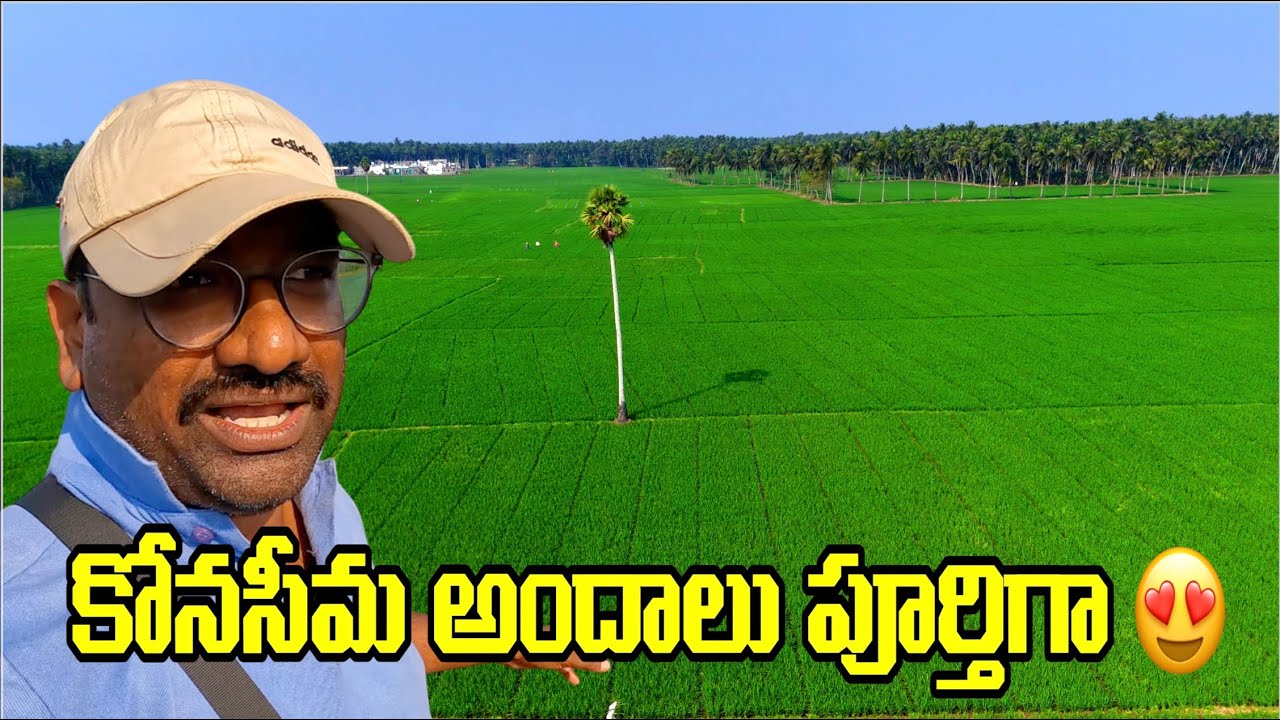 Complete Beauty of Godavari River 🌊 | Konaseema Paradise | Andhra Pradesh Travel Vlog 2026