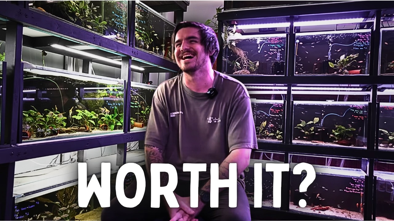 He’s 24 and Built His Dream Fish Store!