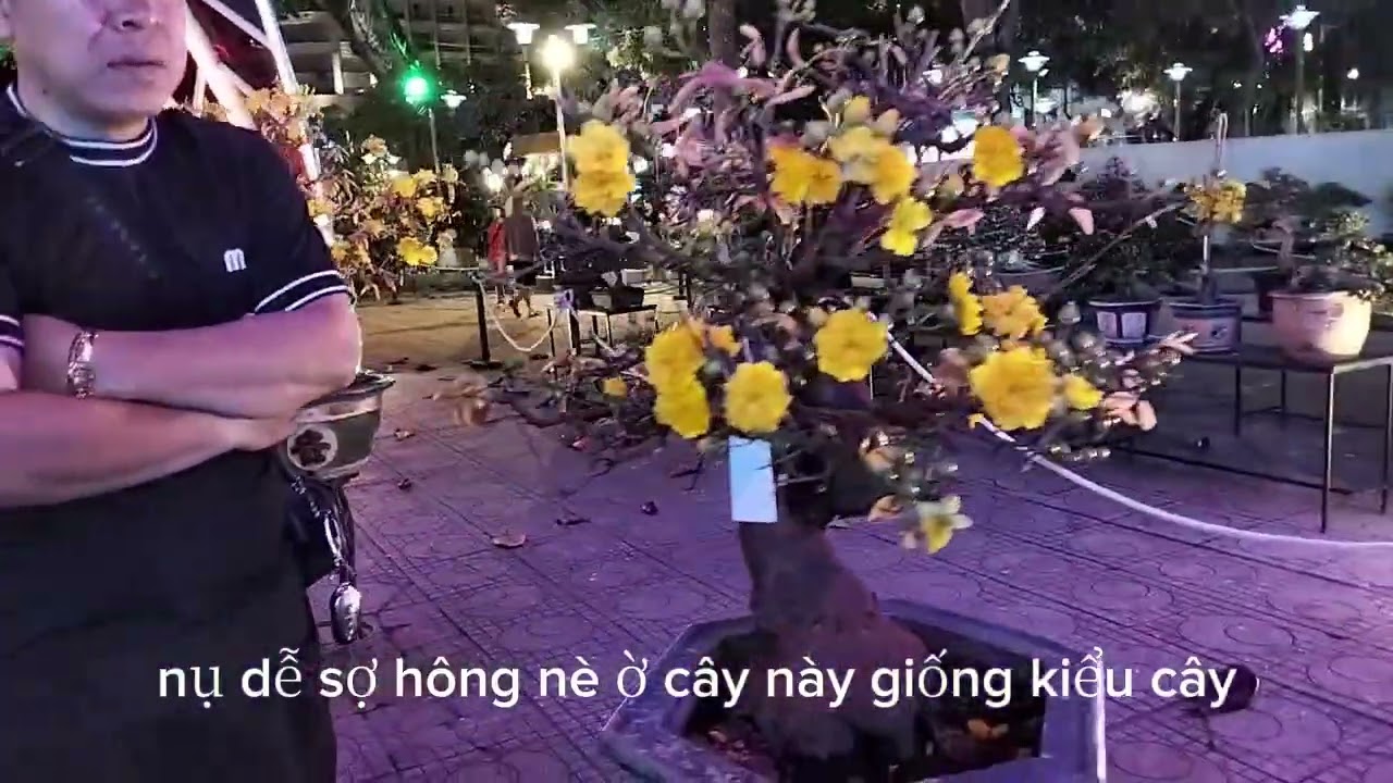 Hội hoa xuân Nha Trang 