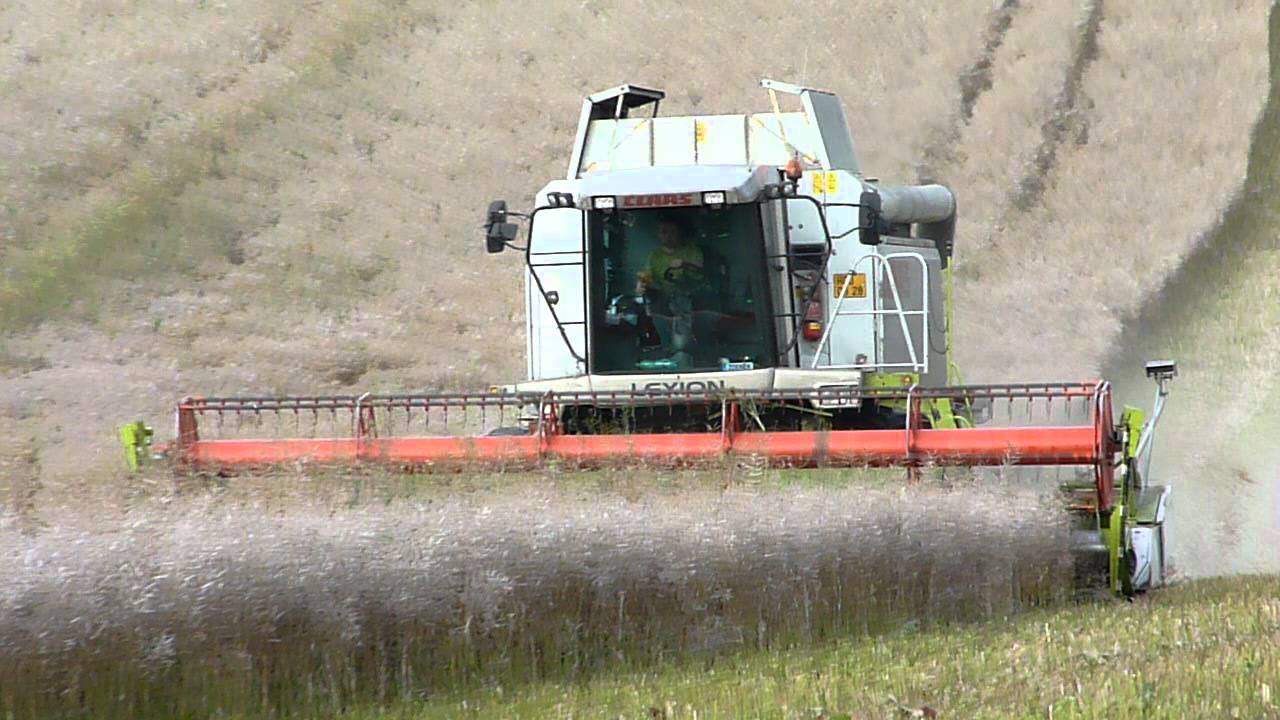Claas Lexion 460 (Rynoltice 2011) 3