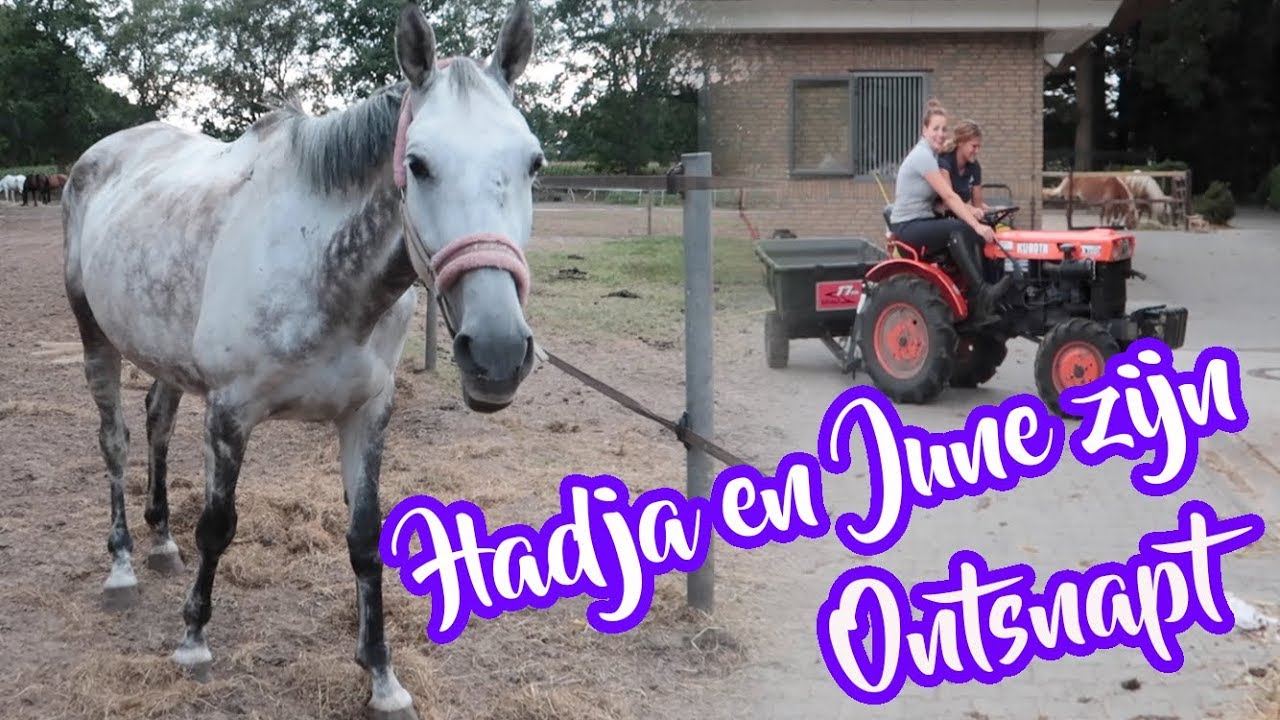 Een drukke dag op stal met Nadia en Mirit VLOG#77