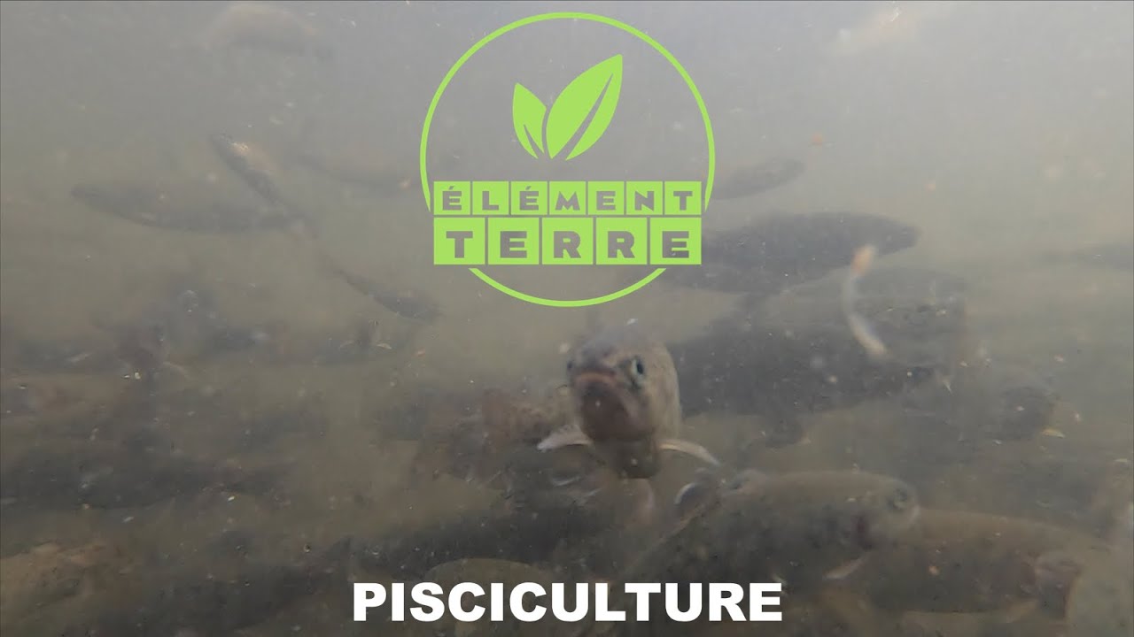 Élément Terre: Pisciculture