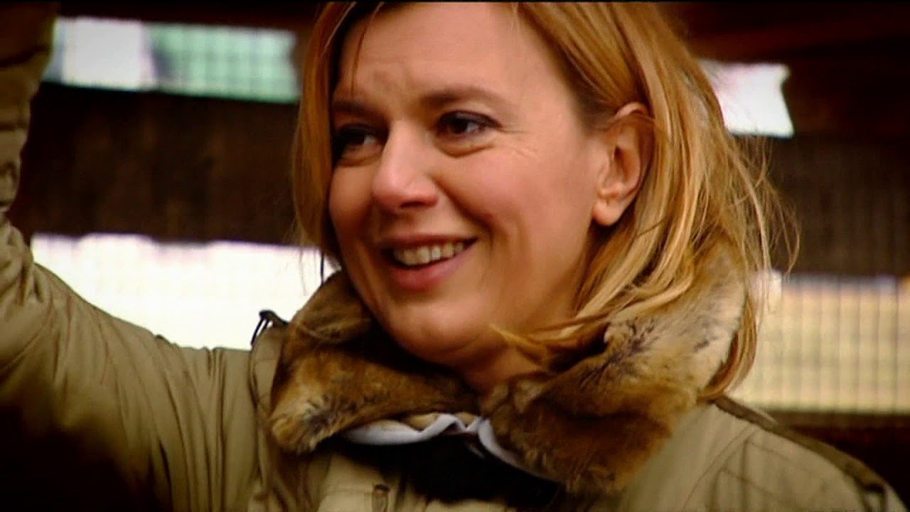 Gasztroangyal 11. rész – Tyúkok a Hungaroringen (2012)