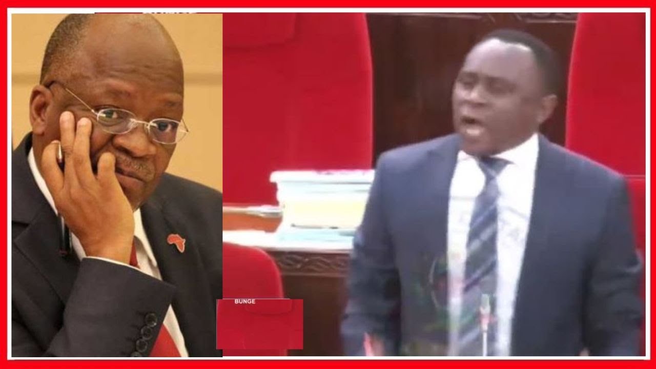''CCM INANILILIA ILI NIIPONGEZE - SIMPONGEZI MAGUFULI'' - PETER MSIGWA ALIVYOKIWASHA BUNGENI...