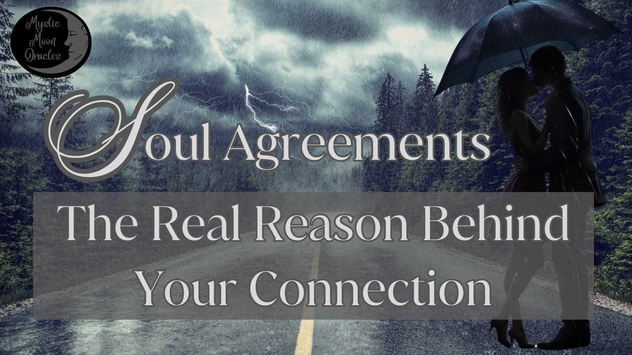 SOUL AGREEMENTS | The Real Reason Behind Your Connection | SOULMATES/TF's (Tarot Card Reading)