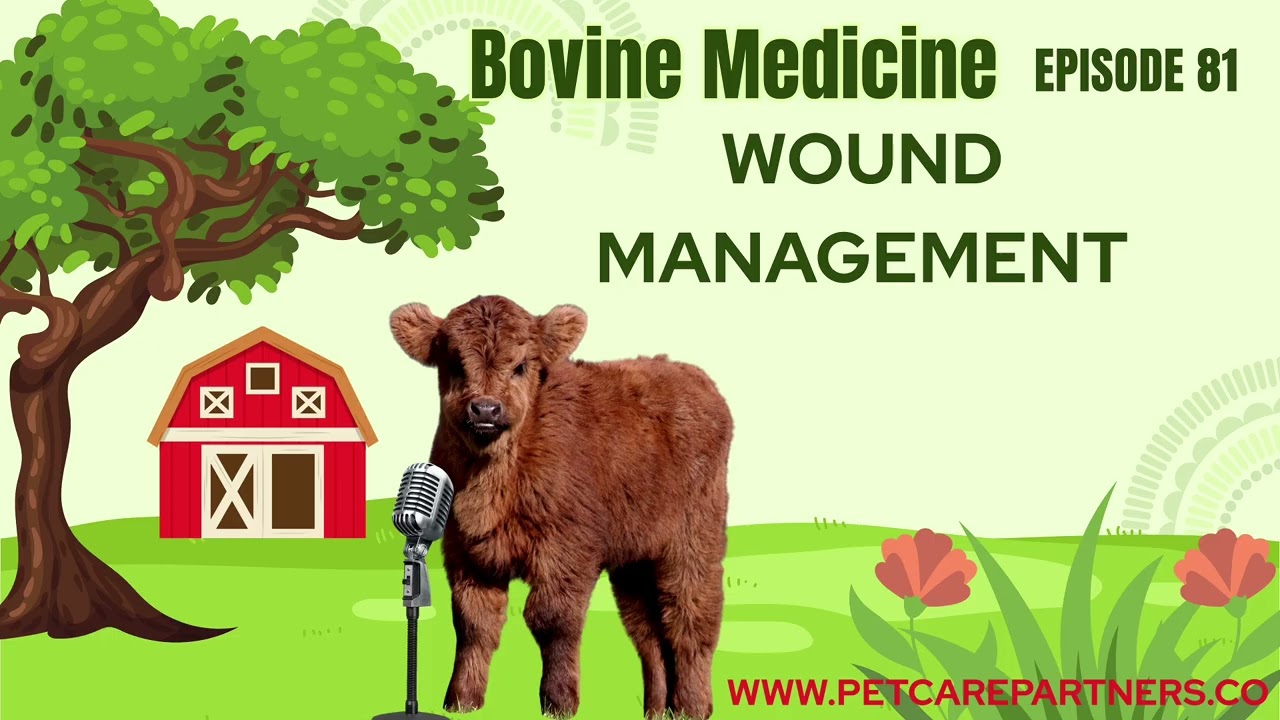 EP 81: Wound Management in Cattle: Essential Tips for Farmers & Vets | Pet Care Partners