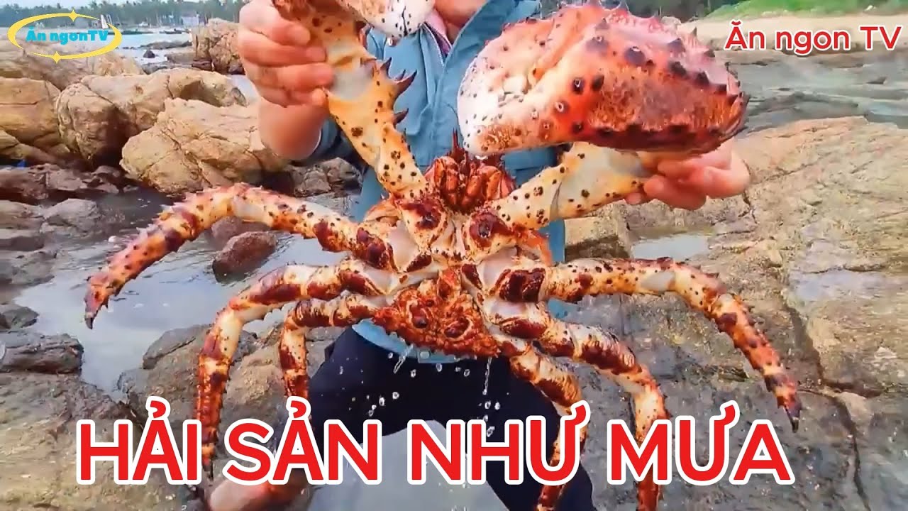 Đi dạo bờ biển bắt được cua hoàng đế tha hồ ăn luôn #mukbang #foodchallenge #shortvideocomedy