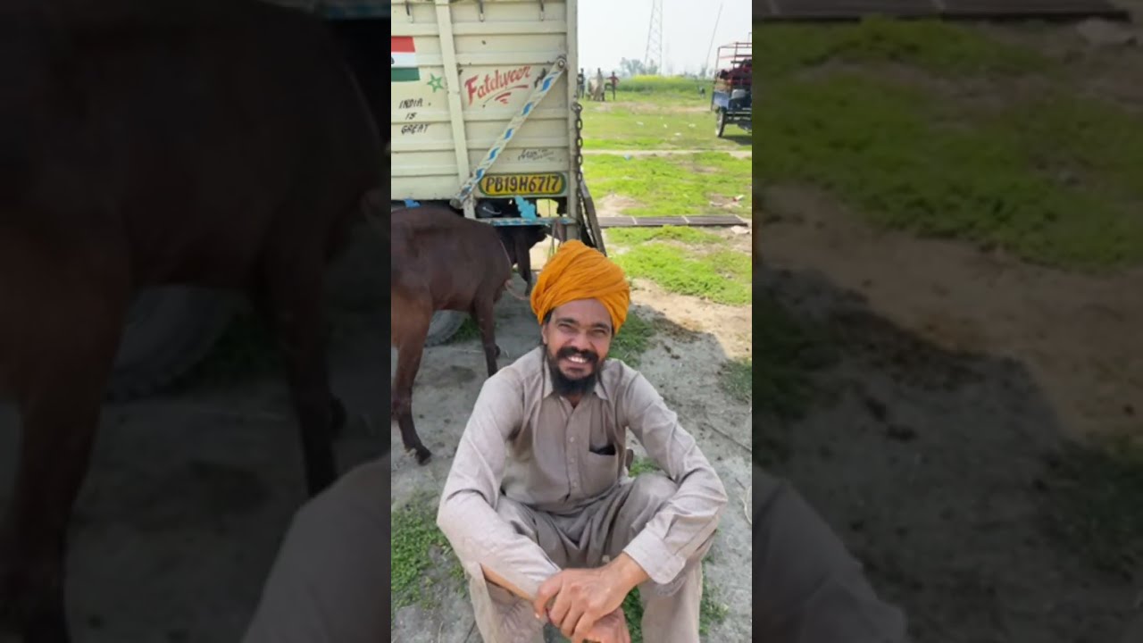 JATT LIFE 76 is live ਬੱਕਰੀ 🐐 ਮੰਡੀ ਧਨੌਲਾ 4-3-26 ਨੂੰ ਜੇ ਵੀਡੀਓ ਵਧੀਆ ਲੱਗੀ ਤਾਂ ਸੇਅਰ ਜਰੂਰ ਕਰਦੋ ਜੀ