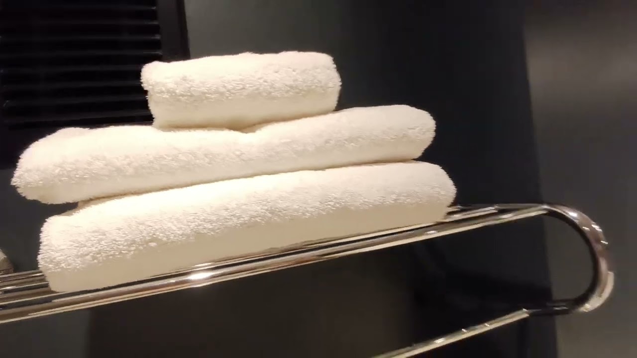 HOTEL REVIEW BRISTOL (delta hotels)
