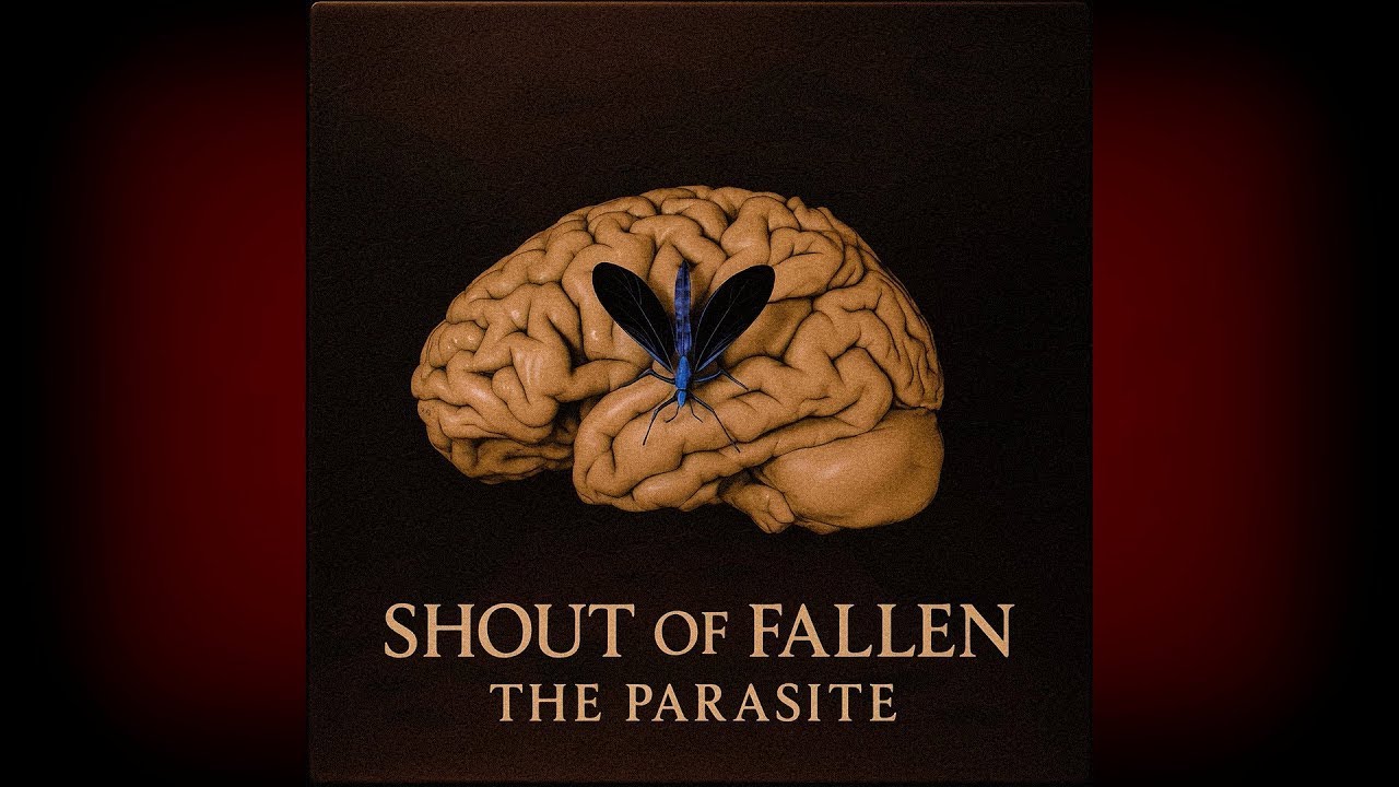 Shout of Fallen - Fly Higher
