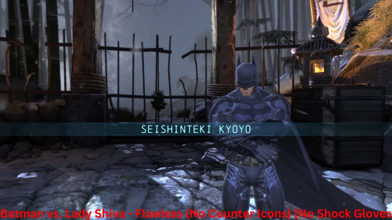 Batman: Arkham Origins deserves a remaster (Flawless Combat Gameplay) [as Batman]