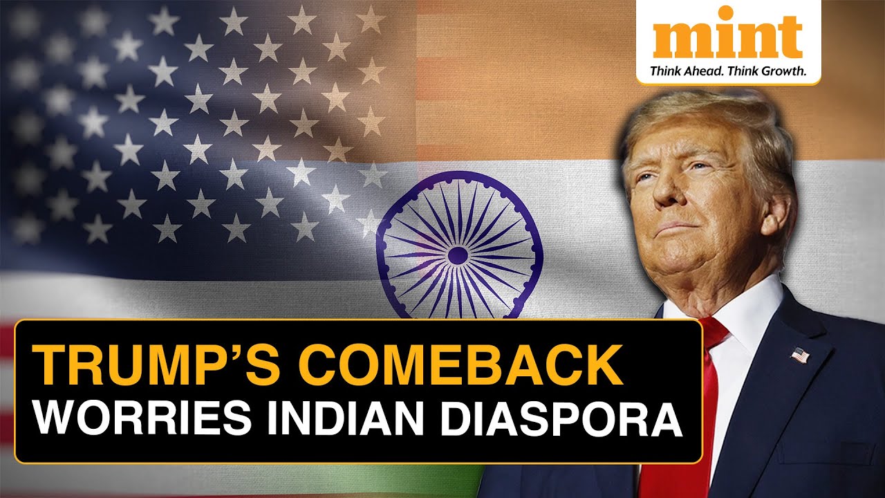 How Donald Trump's Plan To End Automatic Citizenship For Children Affects Indians | US Elections