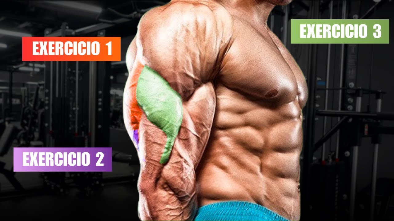 Os 3 ÚNICOS EXERCICIOS para TRICEPS que VOCÊ PRECISA!