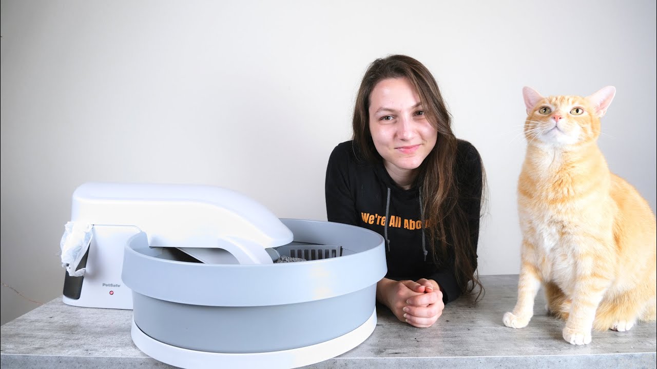 PetSafe Simply Clean Self-Cleaning Litter Box Review (We Tested It)