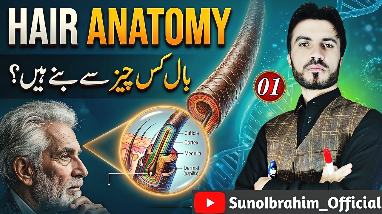 Hair Anatomy Explained: How Hair Grows Inside the Human Body | Complete Hair Biology_SunoIbrahim