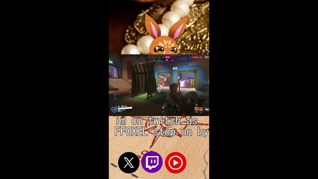 BIRTHDAY STREAM YIPPEE