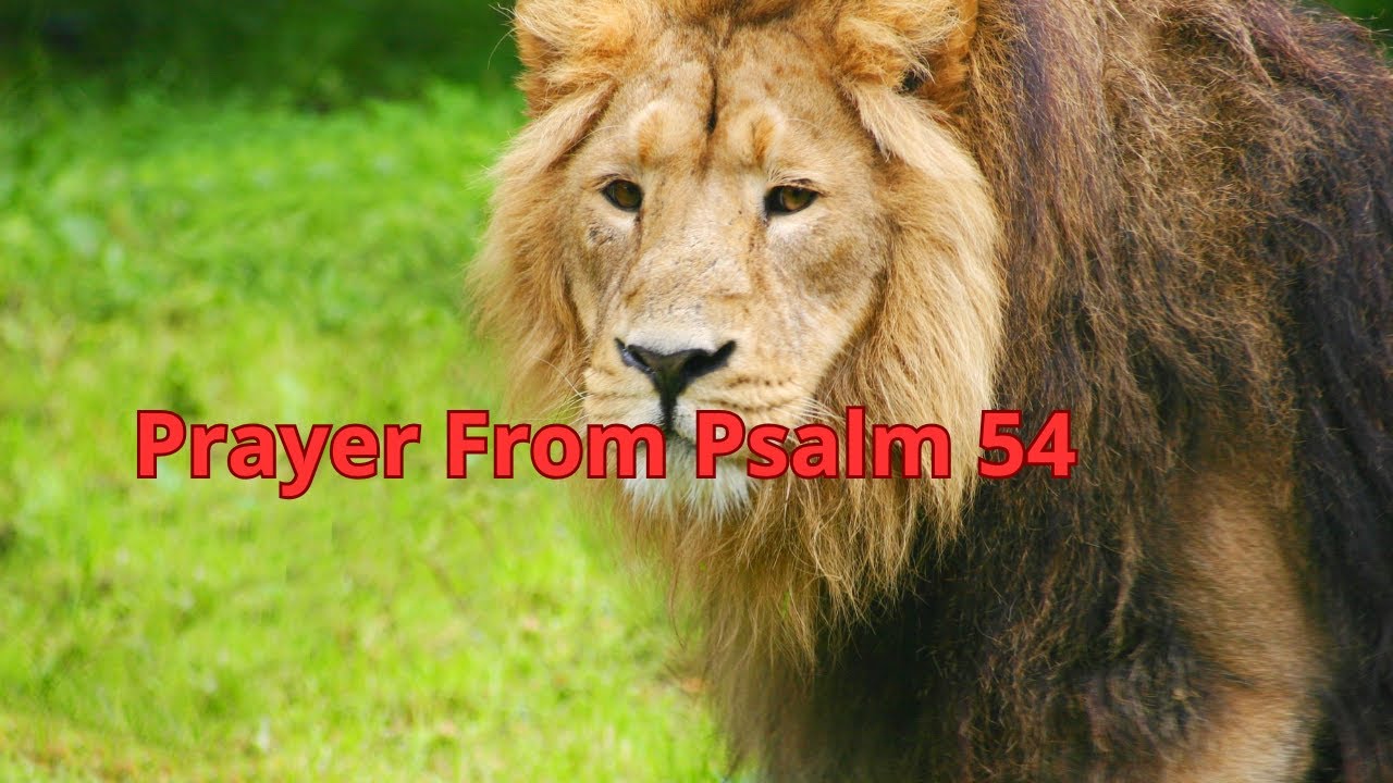 psalm of cry for protection against enemies psalm for help.