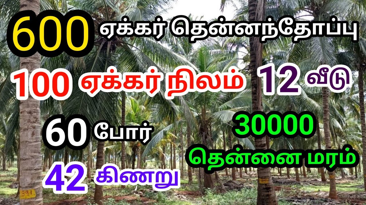 வருடம் 9 கோடி லாபம் தரக்கூடிய 600 ஏக்கர் தென்னந்தோப்பு குறைந்த விலையில் பண்ணை வீட்டுடன் செம்மண் பூமி