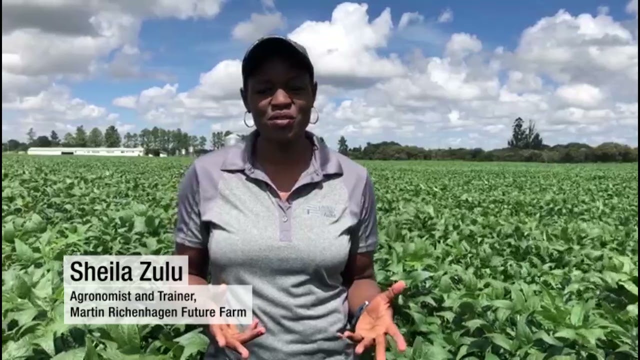 Sheila Zulu talks about her work as an agronomist in Zambia