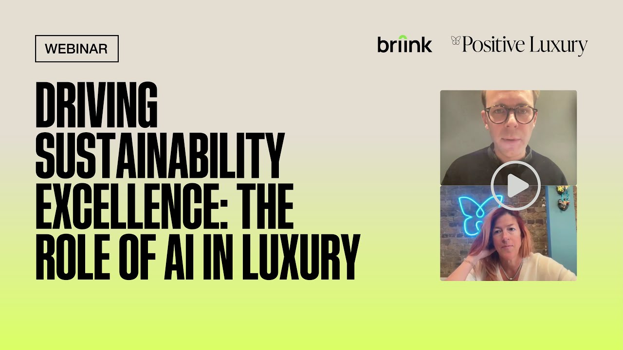 Driving sustainability excellence : The role of AI in luxury