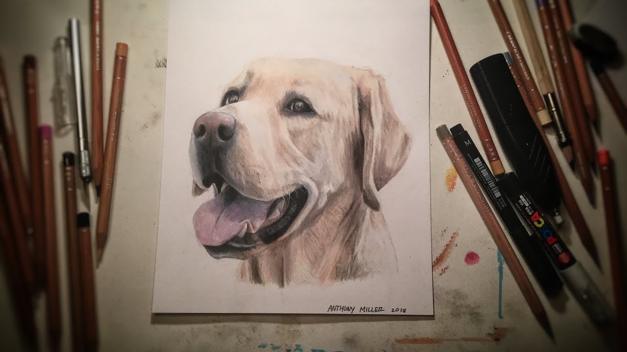 Drawing My Dog - Finn - Anthony Miller Art
