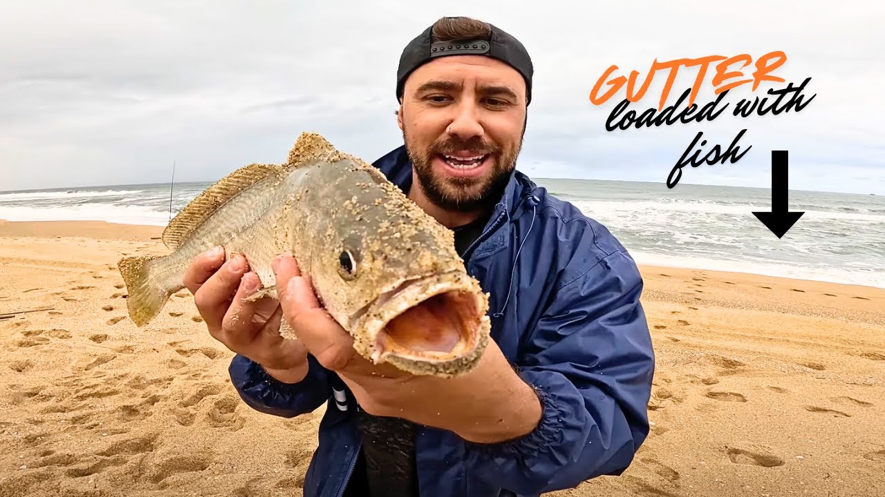 🎣 Beach Fishing for Mulloway with Bait | NSW Coast Adventure 🌊