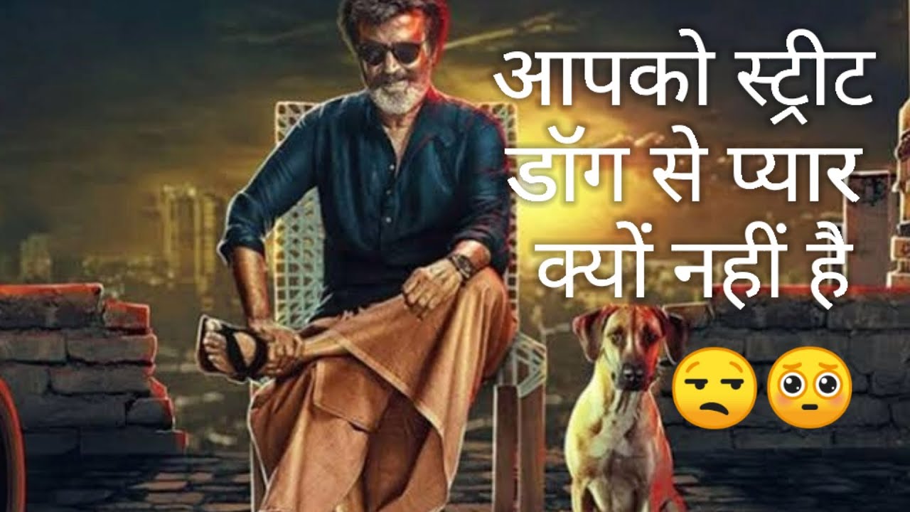 why you not love street dog, आपको स्ट्रीट डॉग से प्यार क्यों नहीं है