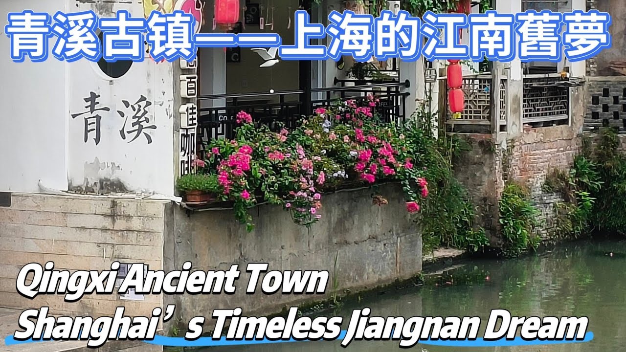 上海丨Shanghai｜青溪古鎮｜Qingxi Ancient Town｜＃上海 ＃shanghai ＃citywalk #history 