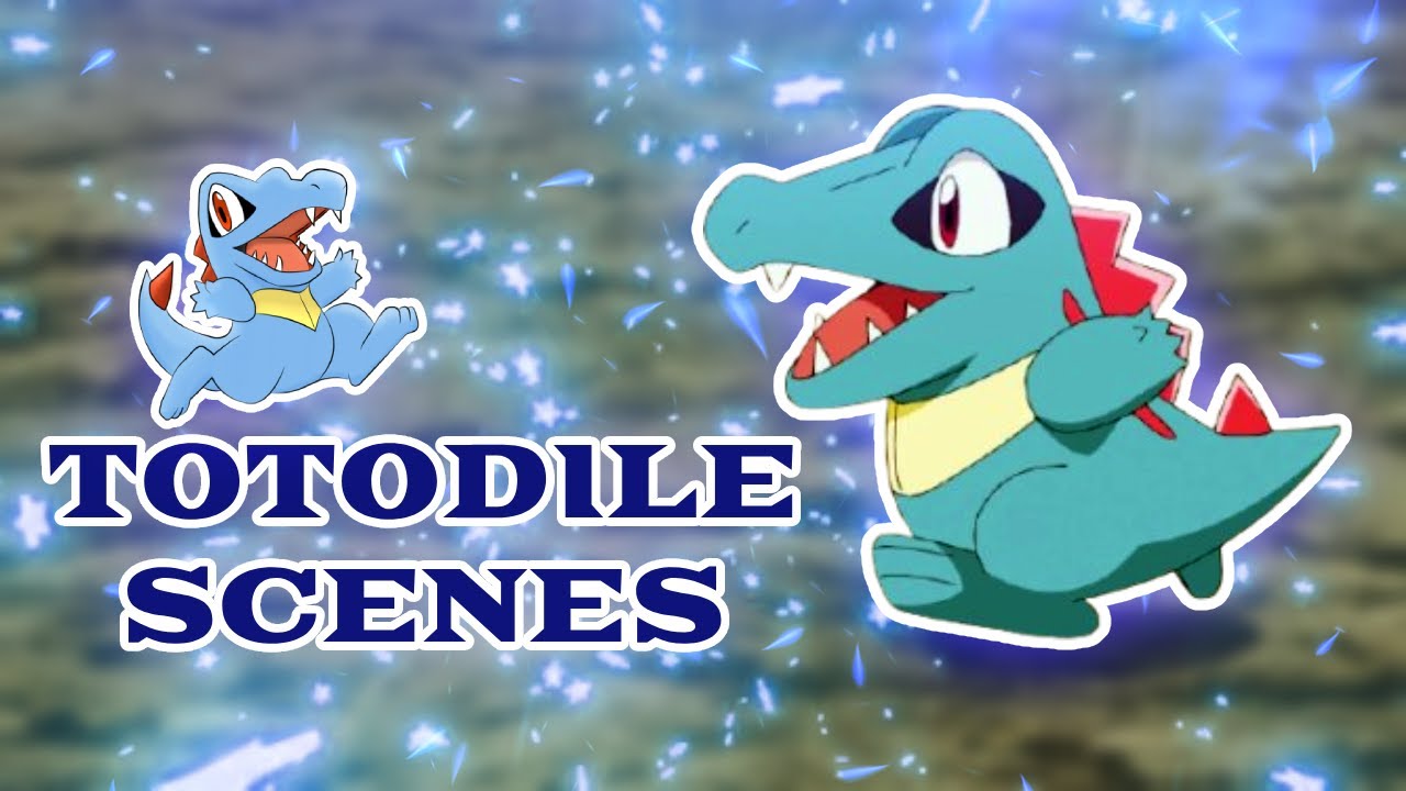 Totodile Funny Scenes | Totodile Moments